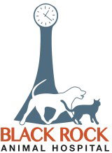 Black Rock Veterinary Clinic Black Rock