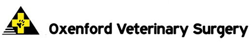 Oxenford Veterinary Surgery Oxenford