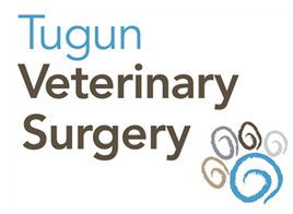 Tugun QLD Vet Australia