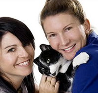 Vets On Wheels - Vet Australia