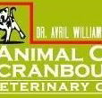 Animal Care Cranbourne Veterinary Centre - Vet Australia