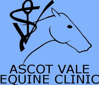 Ascot Vale Equine Clinic Ascot Vale
