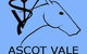 Ascot Vale Equine Clinic - thumb 0