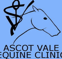 Ascot Vale Equine Clinic - Vet Australia