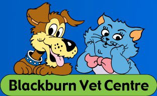 Blackburn VIC Vet Australia