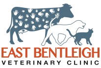 Black Rock And East Bentleigh Veterinary Clinics - Vet Australia 0