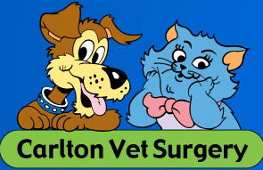 Carlton North VIC Vet Australia