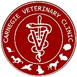 Book Carnegie Accommodation Vacations Vet Australia Vet Australia