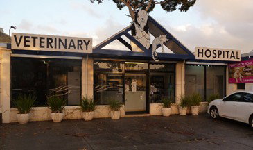  Vet Australia