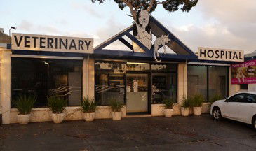 Central Veterinary Hospital Sandringham - Vet Australia 0