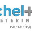Cheltenham Veterinary Clinic - Vet Australia