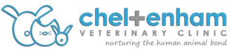 Cheltenham Veterinary Clinic - Vet Australia 0