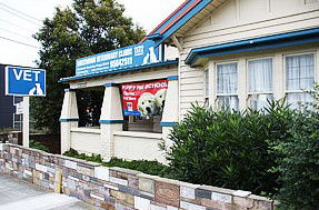 Cheltenham Veterinary Clinic - Vet Australia 1