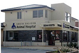 Clayton VIC Vet Australia