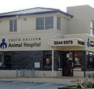 South Eastern Animal Hospital - Vet Australia