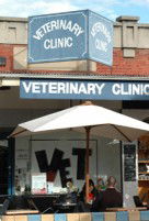 Elwood Veterinary Clinic - Vet Australia 1