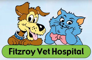 Fitzroy Veterinary Clinic - Vet Australia 0