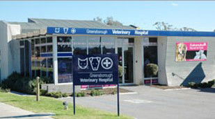 Briar Hill VIC Vet Australia
