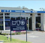 Greensborough Veterinary Hospital - Vet Australia