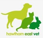 Hawthorn East VIC Vet Australia