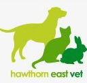 Hawthorn East Vet - Vet Australia