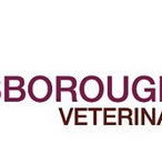Keysborough Veterinary Practice - Vet Australia