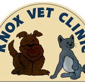 Knox Vet Clinic - Vet Australia