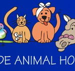 AdelaideVet - Goodwood Road - Vet Australia