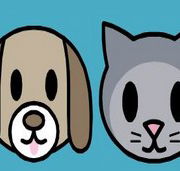 Mackie Family Veterinary Clinic - Vet Australia