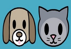 Mackie Family Veterinary Clinic - Vet Australia 0