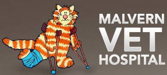 Armadale VIC Vet Australia