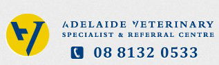 Norwood SA Vet Australia