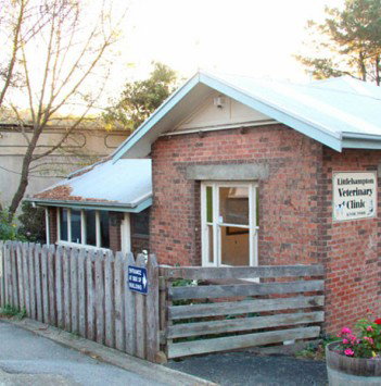 Littlehampton Veterinary Clinic Littlehampton