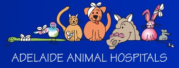 Prospect Road Veterinary Hospital - Vet Australia 0