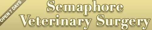 Semaphore Veterinary Surgery Semaphore