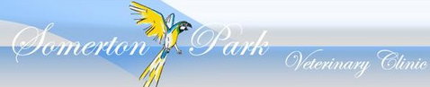 Somerton Park Veterinary Clinic - Vet Australia 0