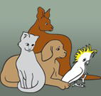 Southcoast Animal Hospital - Vet Australia