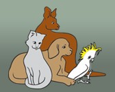 Southcoast Animal Hospital - Vet Australia 0