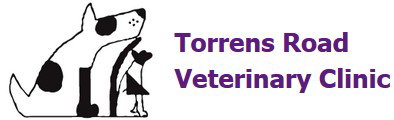 Torrens Road Veterinary Clinic Croydon Park