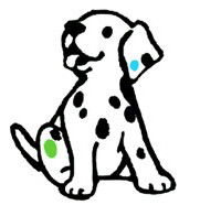 Four Paws Vets - Unley Vet Surgery - Vet Australia 0