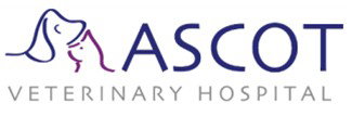 Ascot Veterinary Hospital - Vet Australia 0