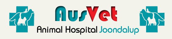 Northern Perth WA Vet Australia