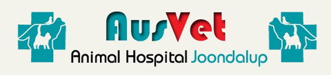 AusVet Animal Hospitals - Vet Australia 0