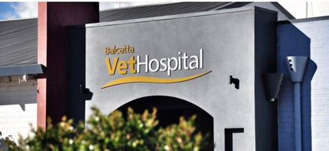 Balcatta Veterinary Hospital - Vet Australia 1
