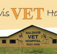 Baldivis Vet Hospital - Vet Australia