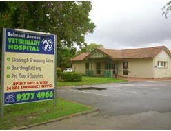 Belmont Avenue Veterinary Hospital - Vet Australia 1