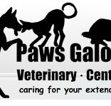 Paws Galore Veterinary Centre - Vet Australia