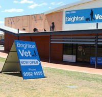 Brighton Vet - Vet Australia