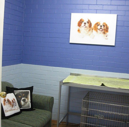 Cavalier Vet Practice Booragoon