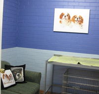 Cavalier Vet Practice